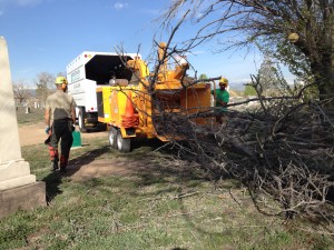 Mountain High Tree Service removes a dead tree.