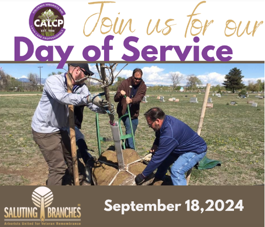 ➡️ 2024 Day of Service: Save the Date